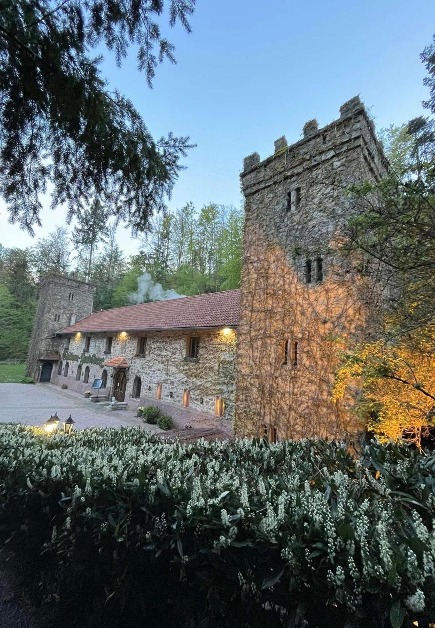 Le Chateau Du Landsberg Barr Dış mekan fotoğraf