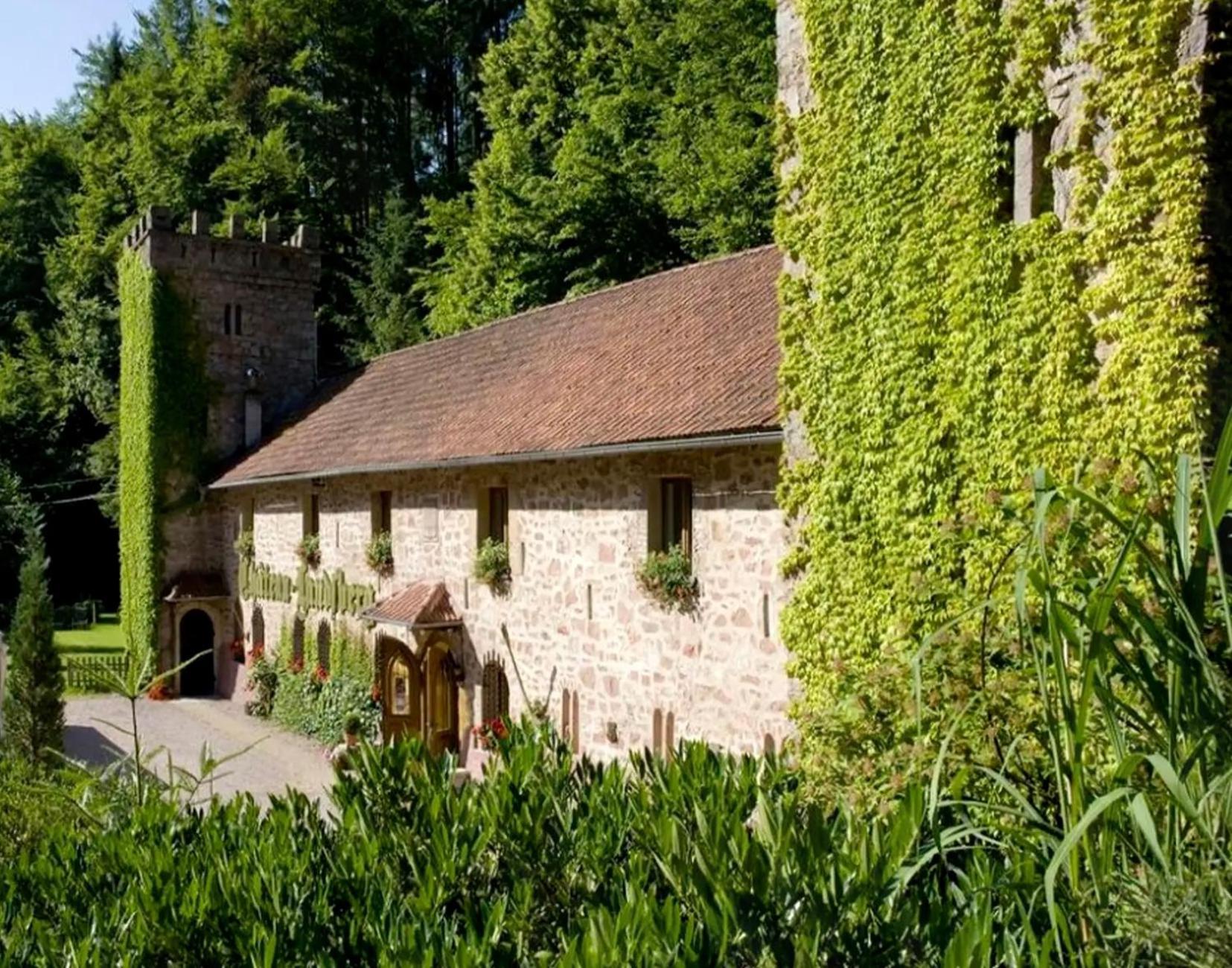 Le Chateau Du Landsberg Barr Dış mekan fotoğraf