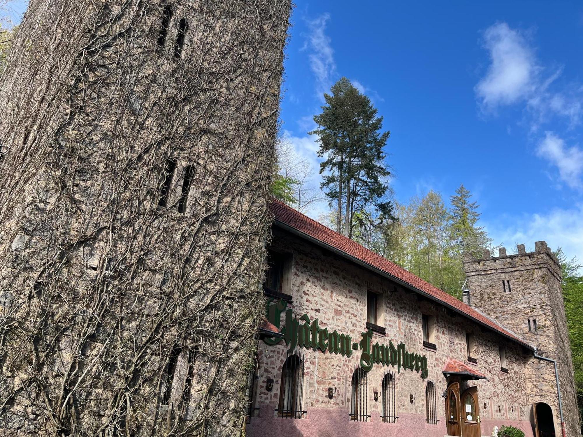 Le Chateau Du Landsberg Barr Dış mekan fotoğraf