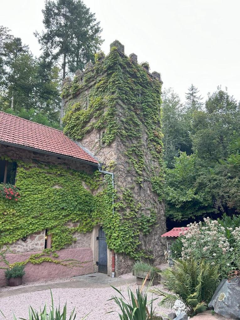 Le Chateau Du Landsberg Barr Dış mekan fotoğraf